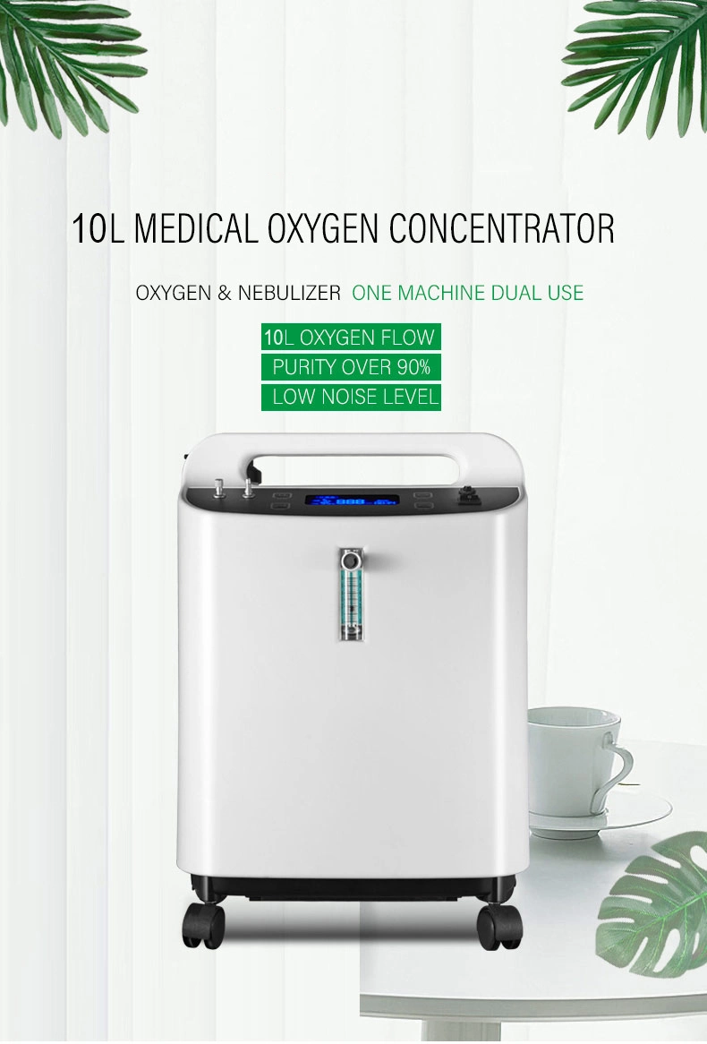 CE ISO 5L 10L 15L 20 Lpm Mini Portable Oxygen Concentrator for Medical Standard with Nebirizer